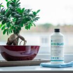 Eco Friendly Office Cleaning in NJ: 10 Real Benefits for Your Business