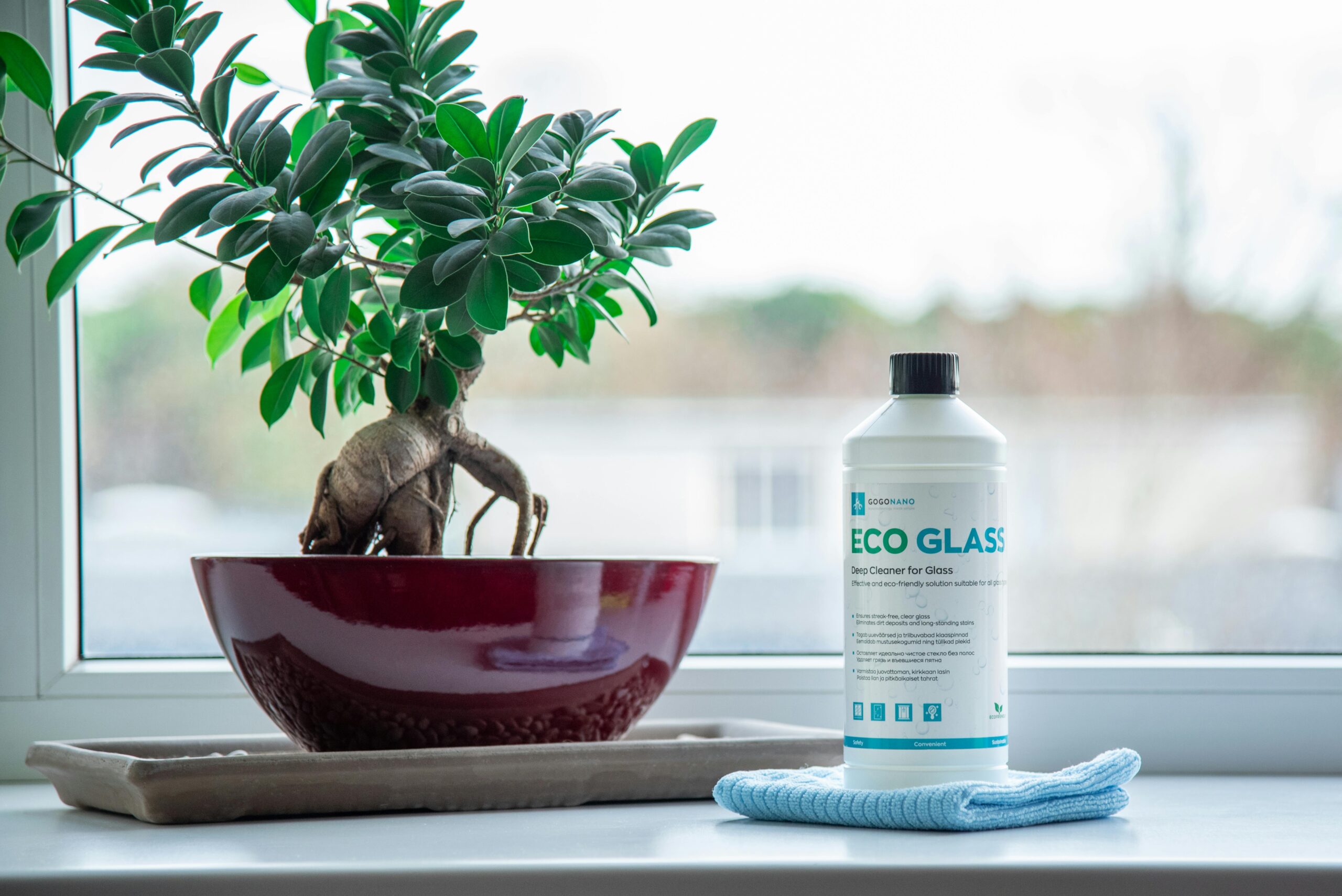Eco Friendly Office Cleaning in NJ: 10 Real Benefits for Your Business