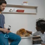 Veterinary Clinic Cleaning Services in NJ: What Practice Owners and Managers Need to Know