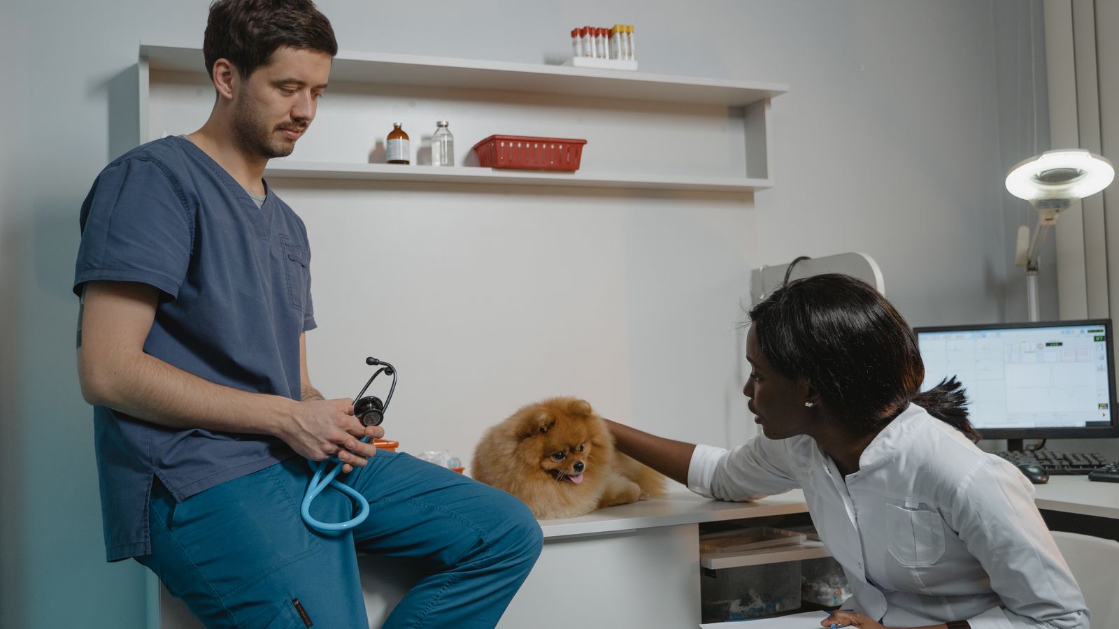 Veterinary Clinic Cleaning Services in NJ: What Practice Owners and Managers Need to Know