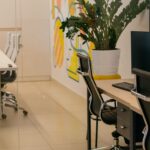 Office Mold Prevention in NJ: How to Keep Your Workspace Dry, Clean, and Healthy