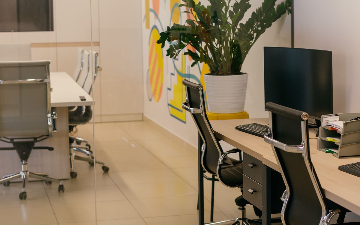 Office Mold Prevention in NJ: How to Keep Your Workspace Dry, Clean, and Healthy