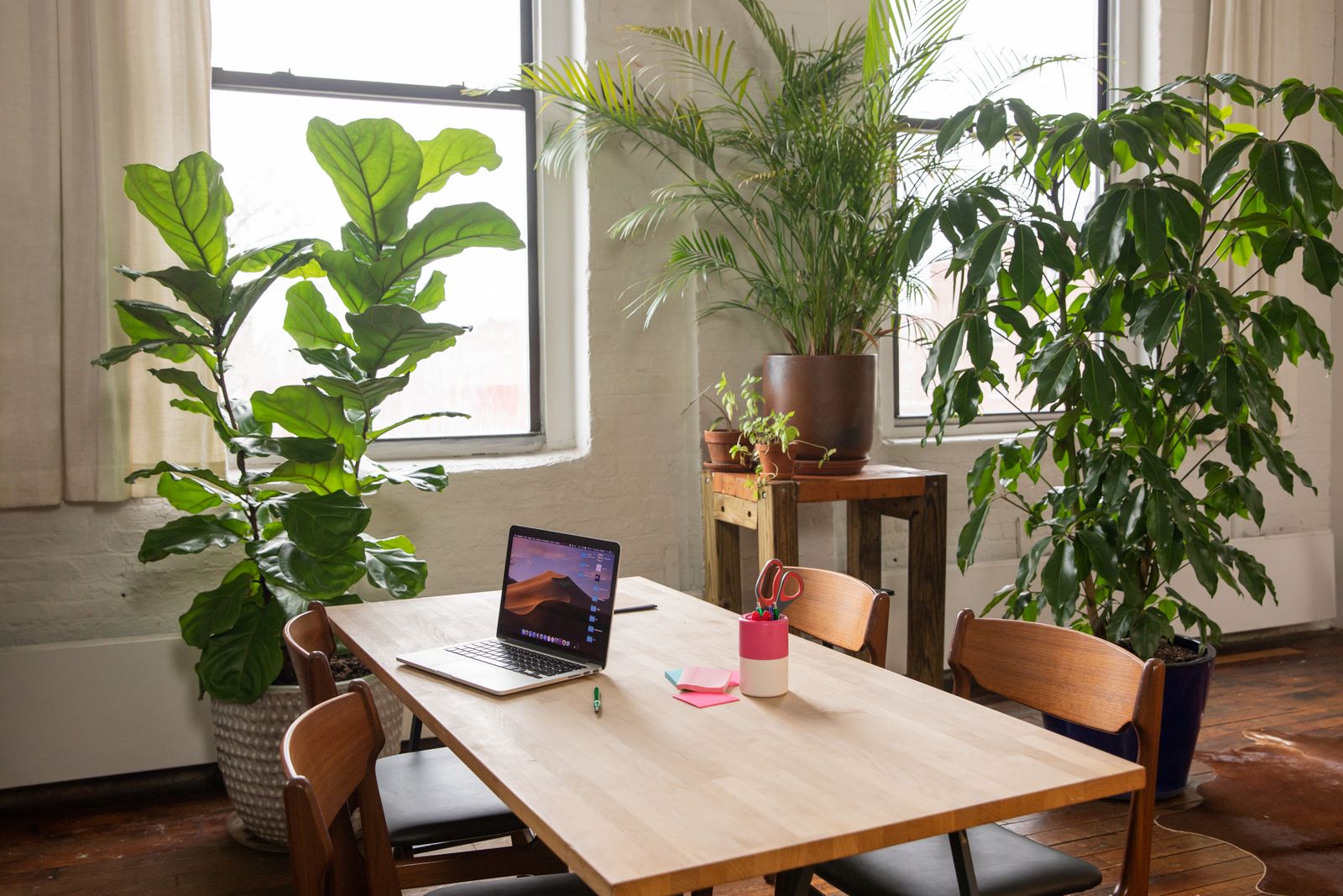 Sick Building Syndrome in NJ Offices: Causes, Symptoms, and Solutions