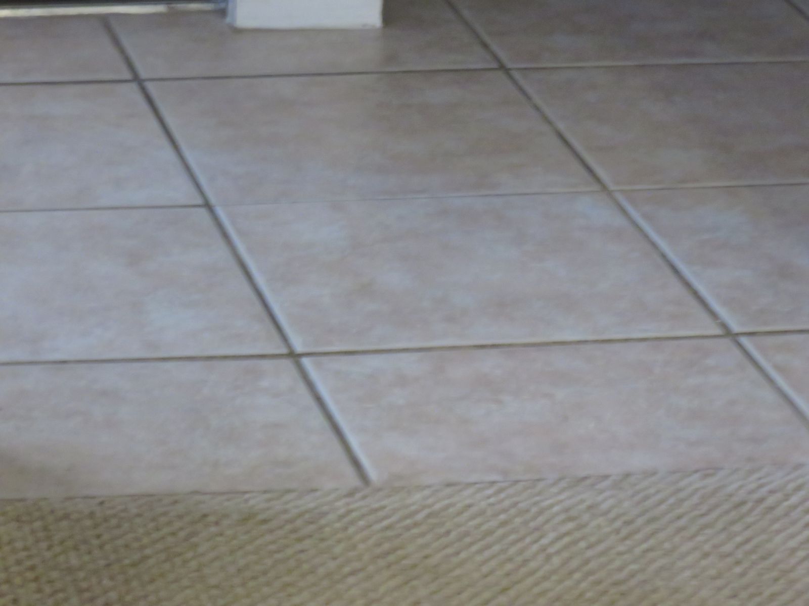 Commercial Floor Maintenance: The Complete Program Checklist for NJ Offices