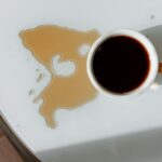 How to Remove Coffee Stains from Office Carpet: A Step by Step Guide