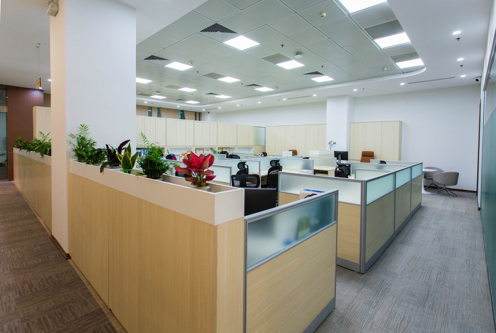 Office Cleaning for Open Plan Offices: Keeping Shared Spaces Healthy in New Jersey